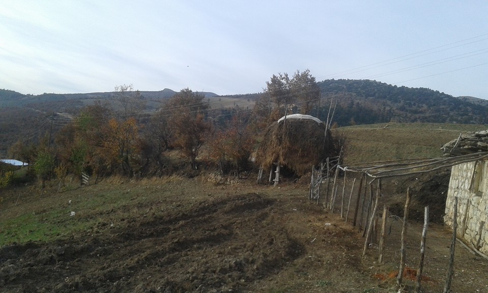 Amasya Abacı Köyü Resimleri 18