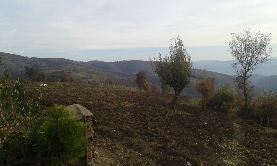Amasya Abacı Köyü Resimleri 20