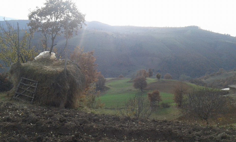 Amasya Abacı Köyü Resimleri 22