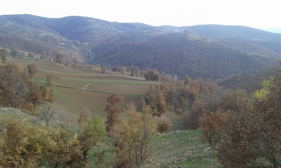 Amasya Abacı Köyü Resimleri 25