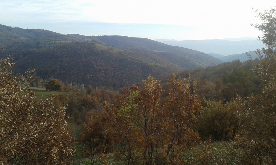 Amasya Abacı Köyü Resimleri 27
