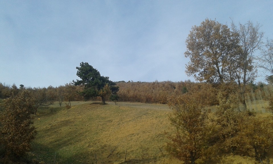 Amasya Abacı Köyü Resimleri 29