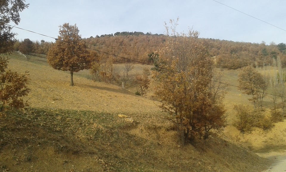 Amasya Abacı Köyü Resimleri 31