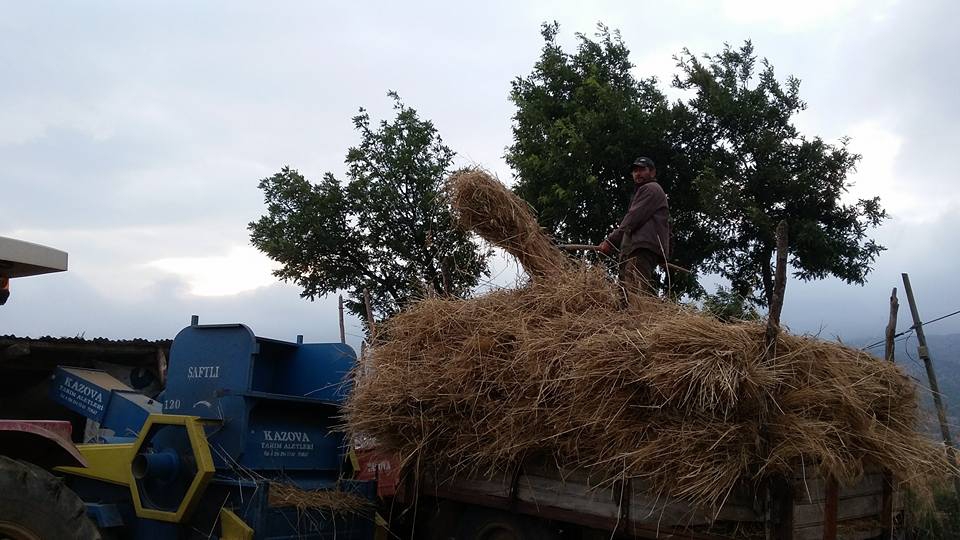 Amasya Abacı Köyü Resimleri 34