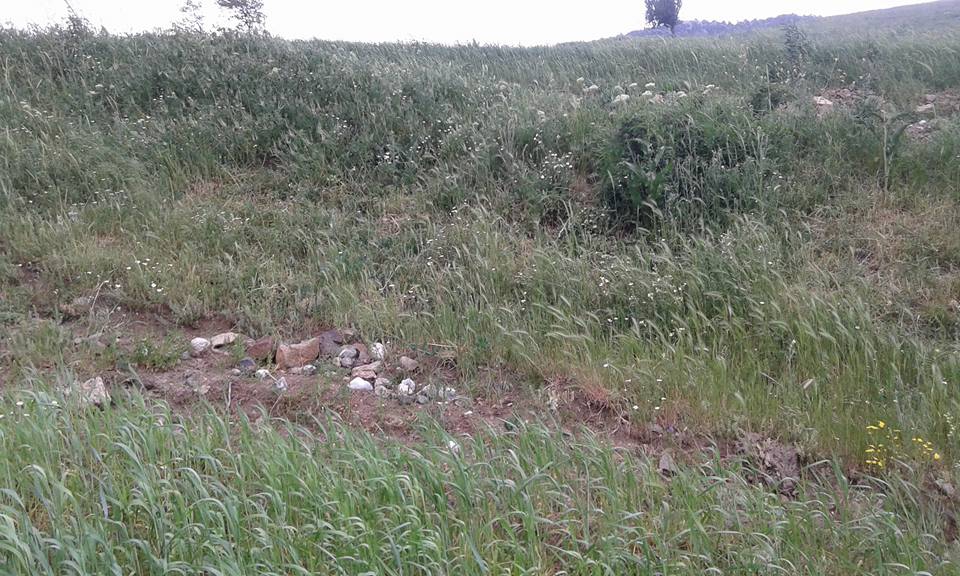 Amasya Abacı Köyü Resimleri 39