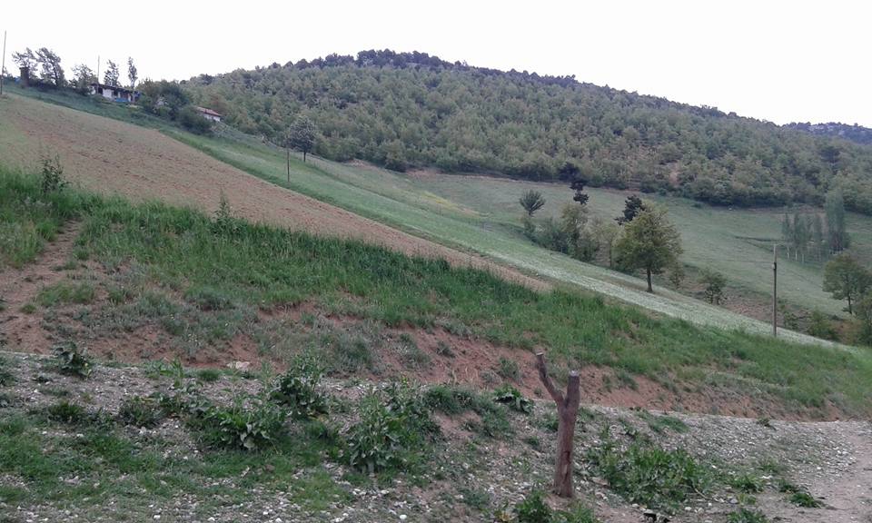 Amasya Abacı Köyü Resimleri 43