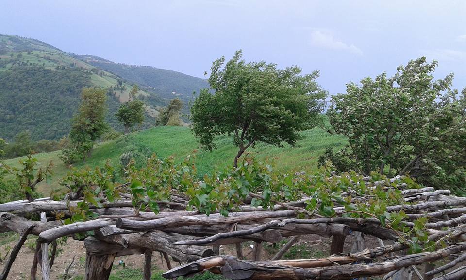 Amasya Abacı Köyü Resimleri 44