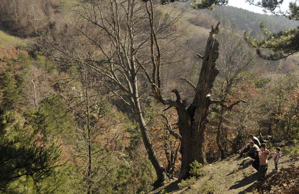 Tokat Erbaa Narlıdere Köyü Resimler 5
