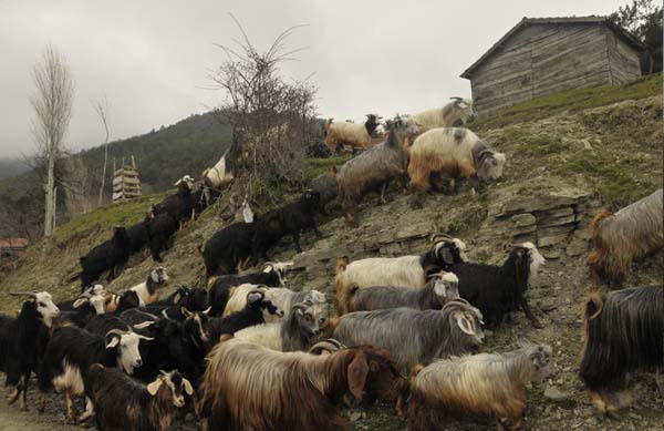 Tokat Erbaa Narlıdere Köyü Resimler 8