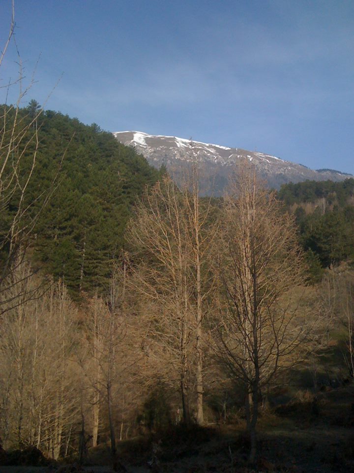 Bolu Merkeşler Köyü Resimleri 18