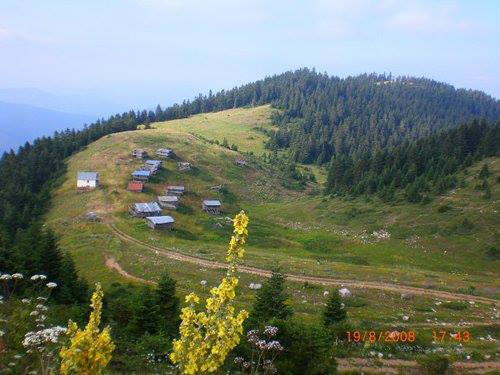 Bolu Merkeşler Köyü Resimleri 24