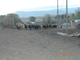 Köprüköy Eğirmez Köyü Resimleri 1