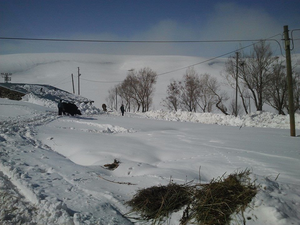 Köprüköy Eyüpler Köyü Resimleri 7