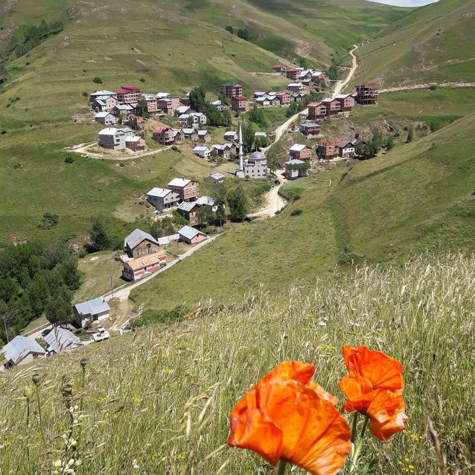 Gümüşhane  Örenler  Köyü Resimleri 1