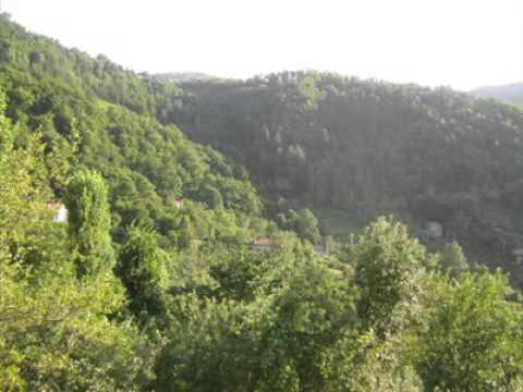 Köprüköy Kayabaşı Köyü Resimleri 7