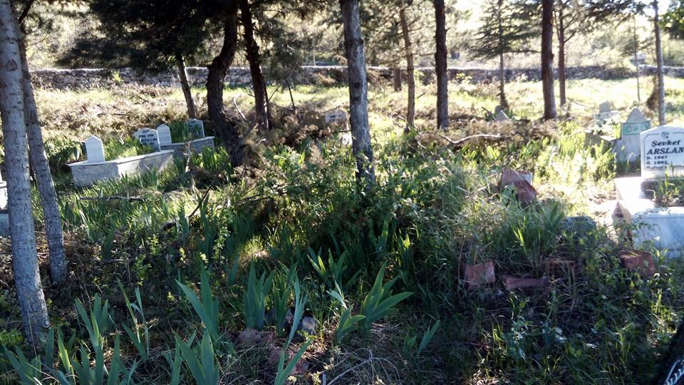 Amasya Akyazı Köyü Resimleri 13
