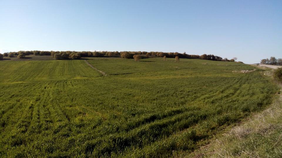 Amasya Akyazı Köyü Resimleri 6