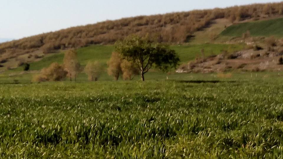 Amasya Akyazı Köyü Resimleri 7