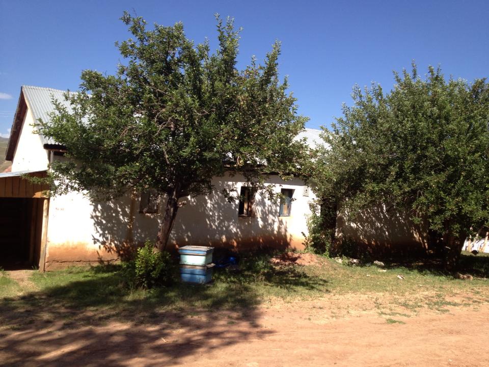 Narman Alacayar Köyü Resimleri 6