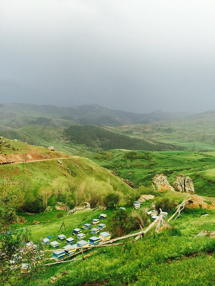 Narman Ergazi Köyü Resimleri 9