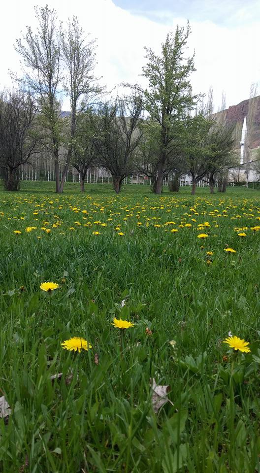 Narman Gökdağ Köyü Resimleri 1
