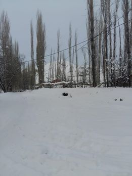 Narman Gökdağ Köyü Resimleri 2