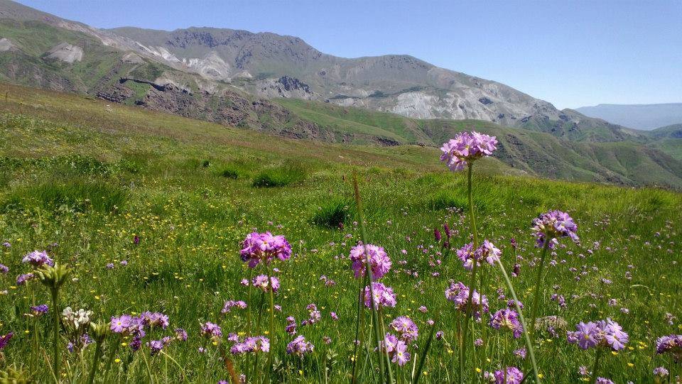 Narman Gökdağ Köyü Resimleri 7