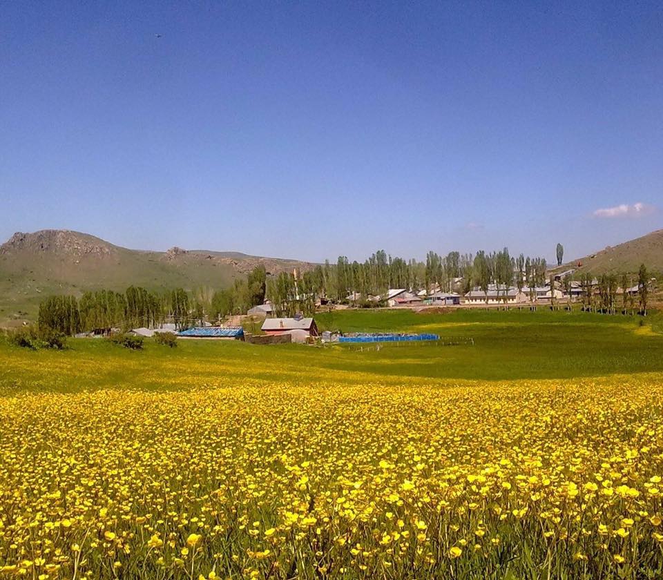 Narman Göllü Köyü Resimleri 3