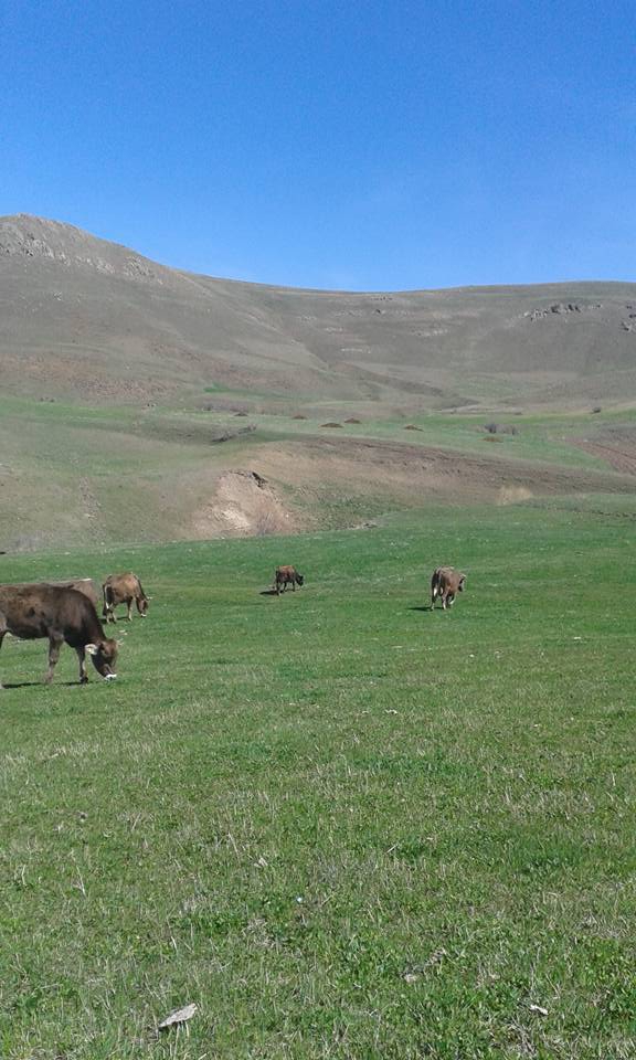 Narman Göllü Köyü Resimleri 7