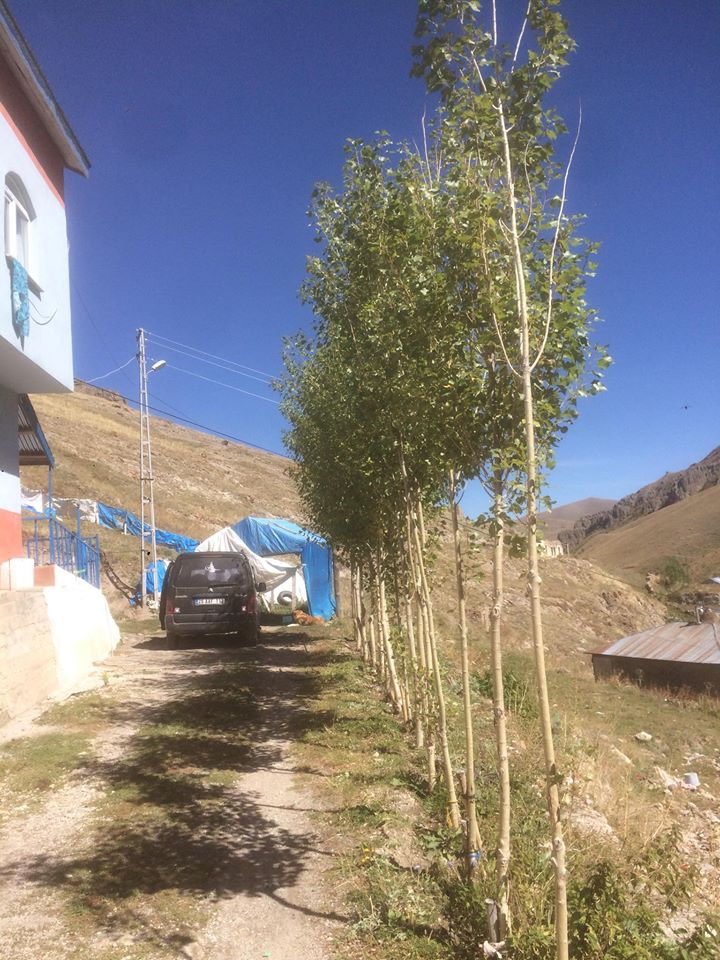 Narman Güllüdağ Köyü Resimleri 5