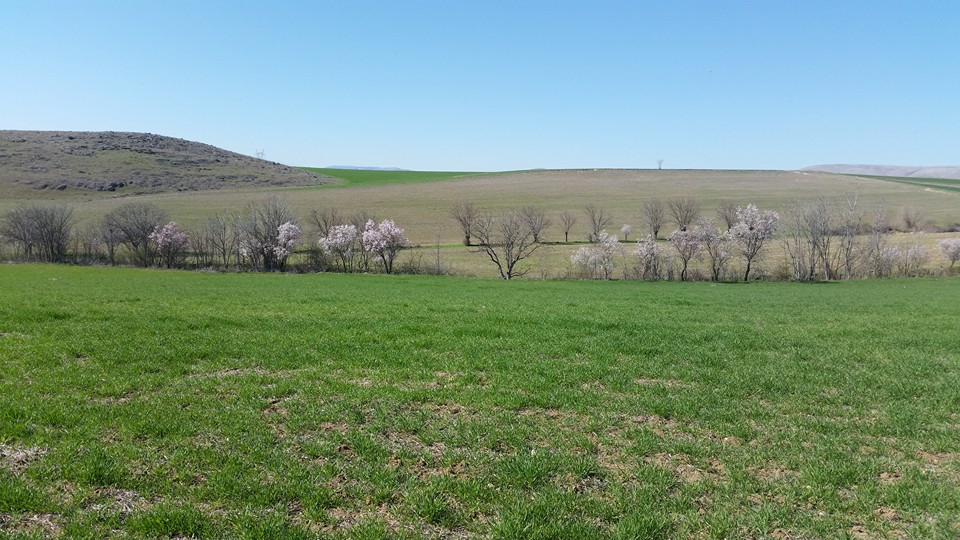 Amasya Aydoğdu Köyü Resimleri 12
