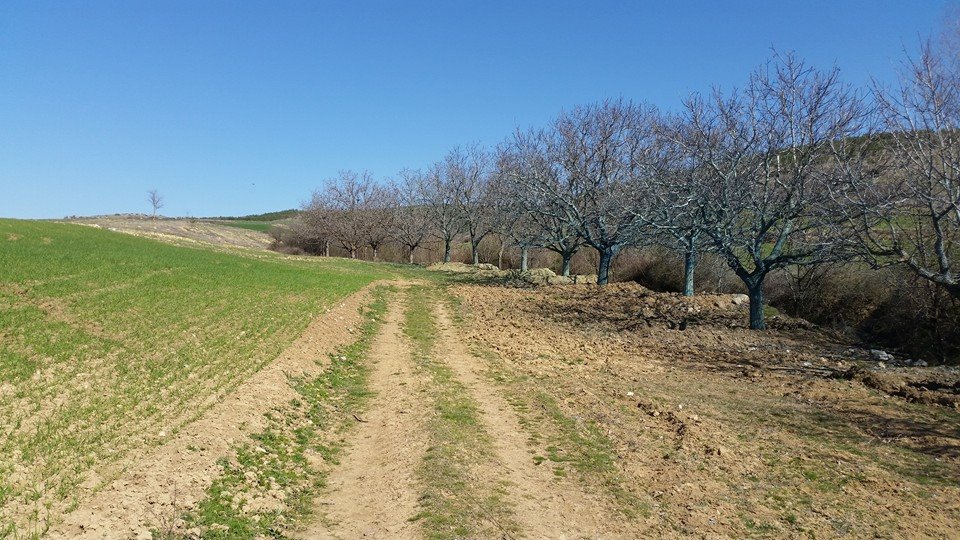 Amasya Aydoğdu Köyü Resimleri 13