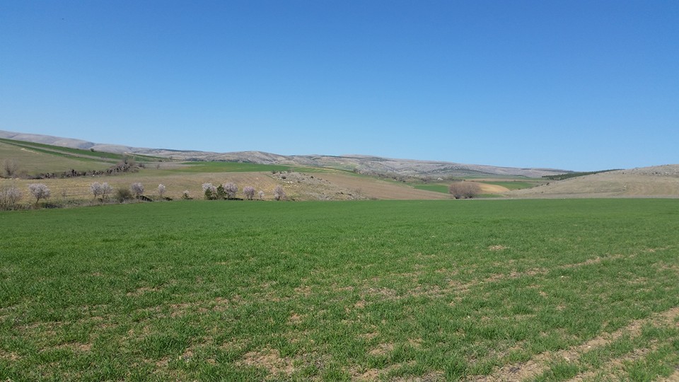 Amasya Aydoğdu Köyü Resimleri 7