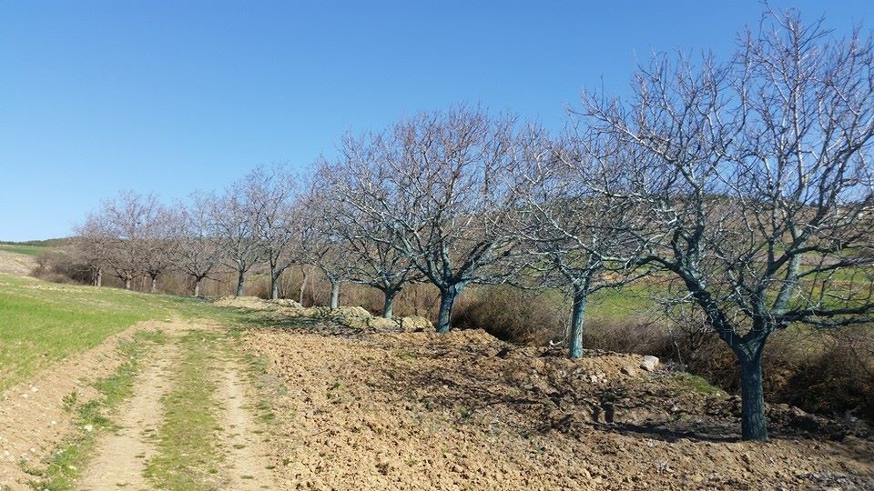 Amasya Aydoğdu Köyü Resimleri 9