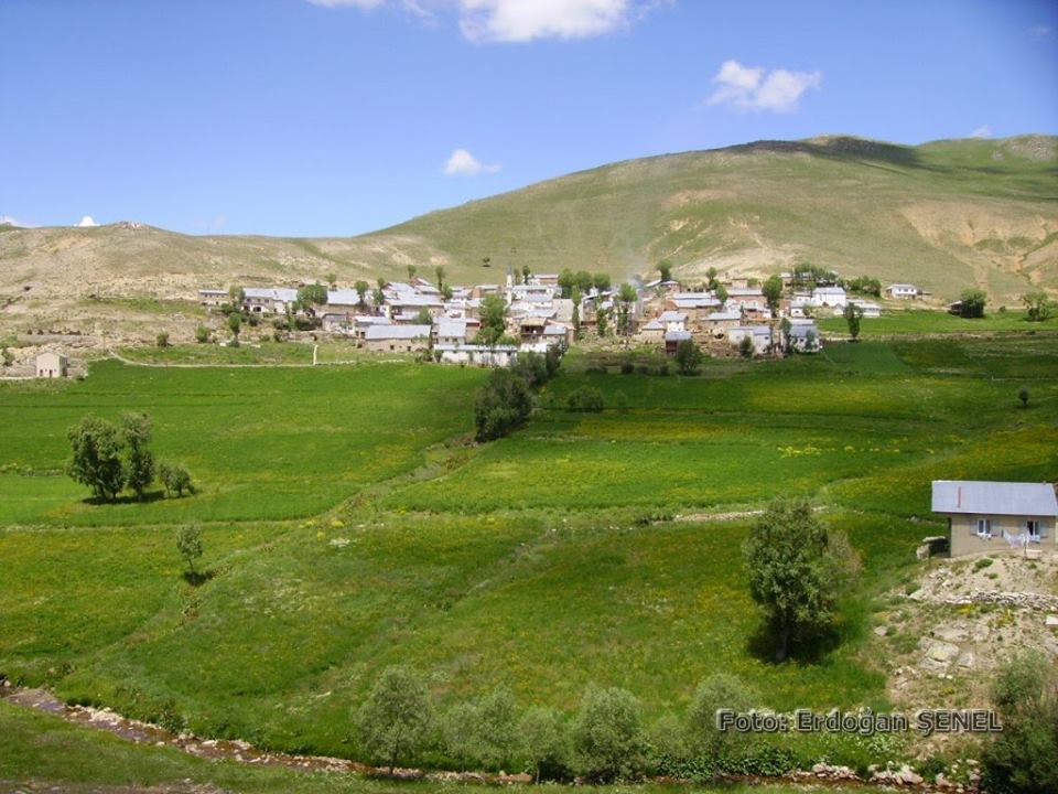 Gümüşhane  Sarıçiçek  Köyü Resimleri 1