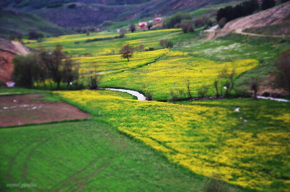 Gümüşhane  Sarıçiçek  Köyü Resimleri 2