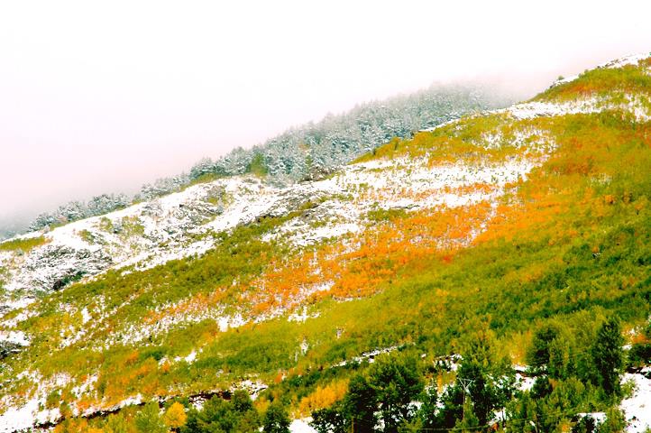 Gümüşhane  Sarıçiçek  Köyü Resimleri 4