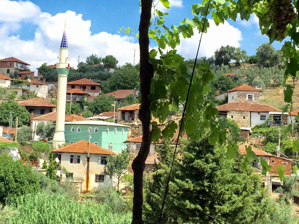 Köprübaşı Kutlar Köyü Resimleri 2