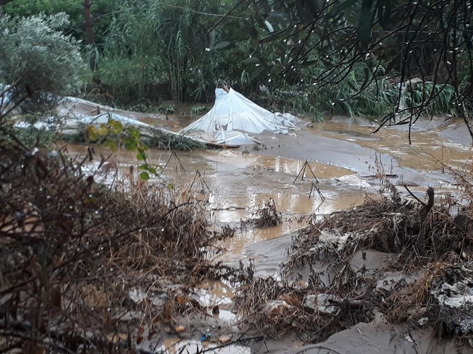 Köprübaşı Kutlar Köyü Resimleri 4