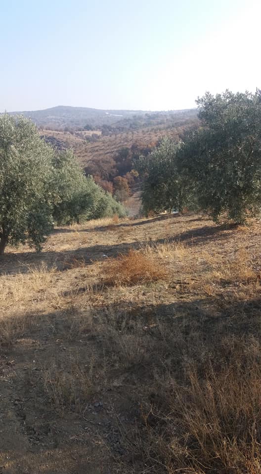 Köprübaşı Kutlar Köyü Resimleri 5