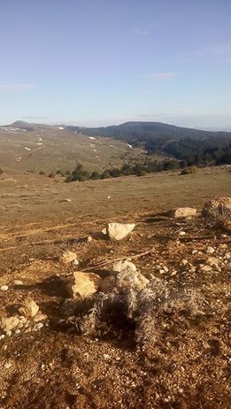 Afyon Sinanpaşa Karacaören Köyü Resimleri 2