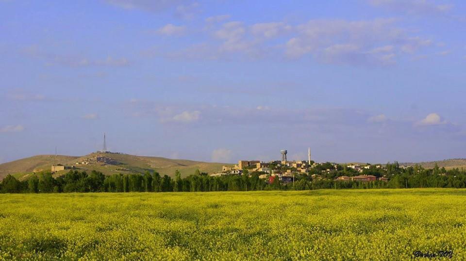Nusaybin Bahçebaşı Köyü Resimleri 1