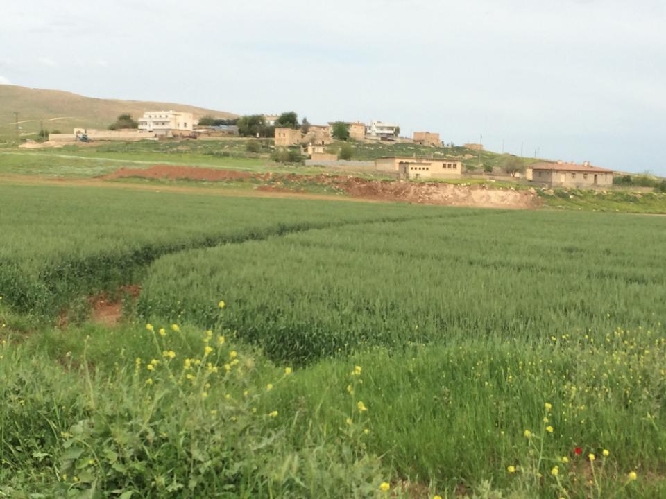 Nusaybin Beylik Köyü Resimleri 4
