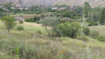 Oltu Alatarla Köyü Resimleri 6