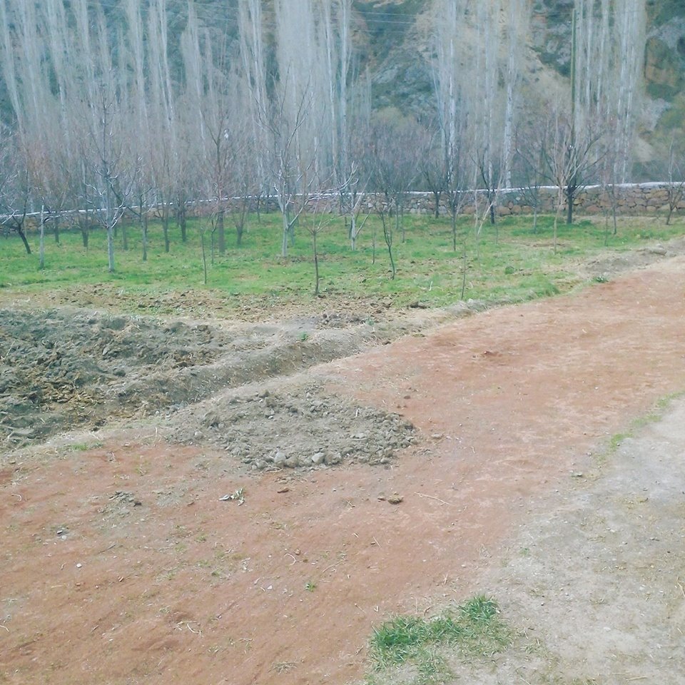 Oltu Aşağıkumlu Köyü Resimleri 2