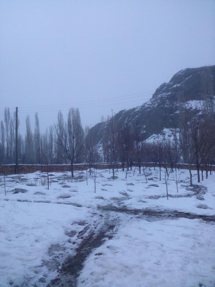 Oltu Aşağıkumlu Köyü Resimleri 5