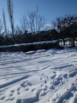 Oltu Aşağıkumlu Köyü Resimleri 9