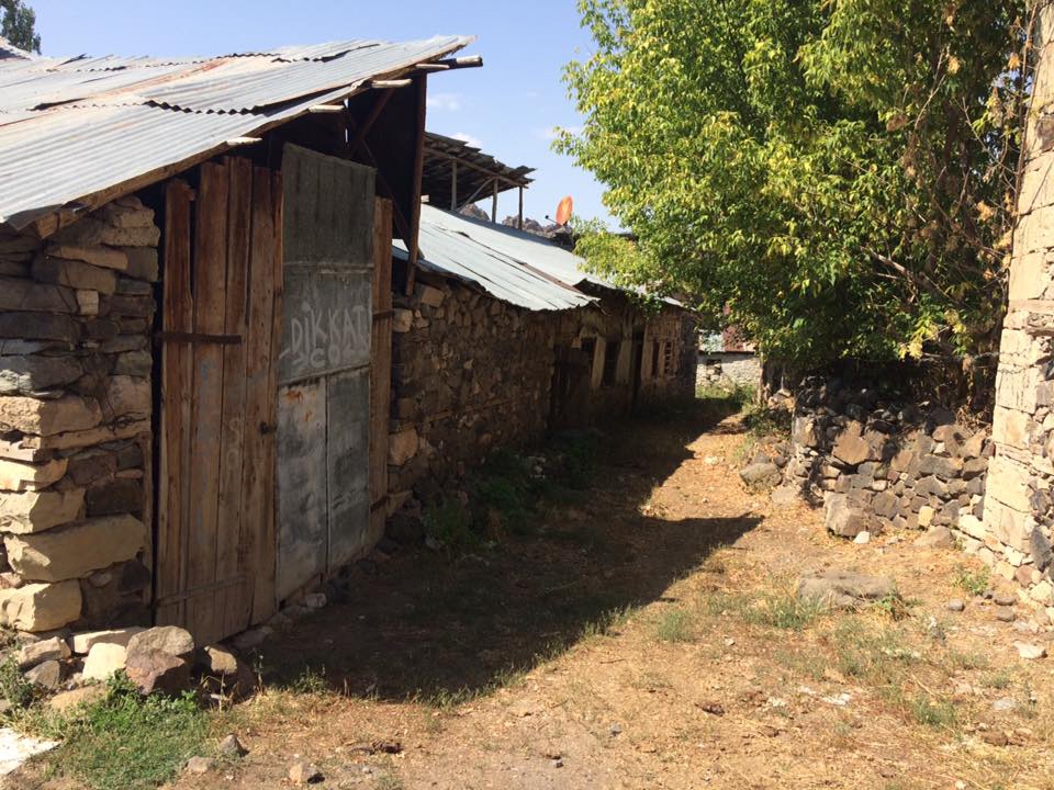 Oltu Bahçecik Köyü Resimleri 10