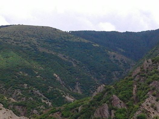 Oltu Bahçelikışla Köyü Resimleri 4