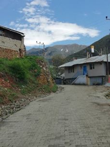 Oltu Başaklı Köyü Resimleri 8
